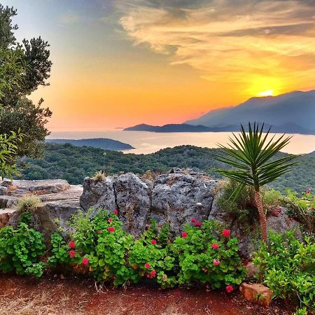 Olivia Homes Kaş Esterno foto