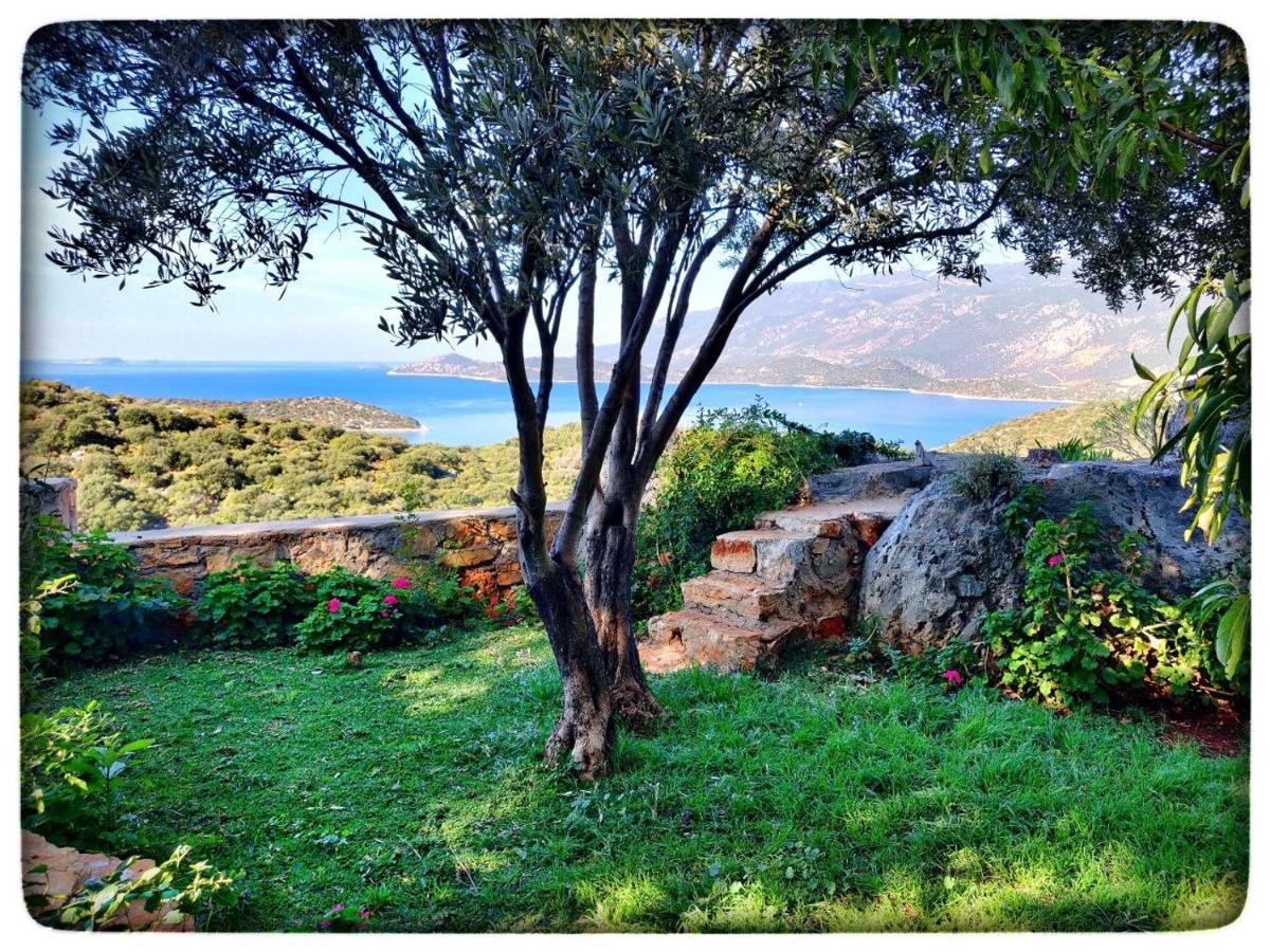 Olivia Homes Kaş Esterno foto