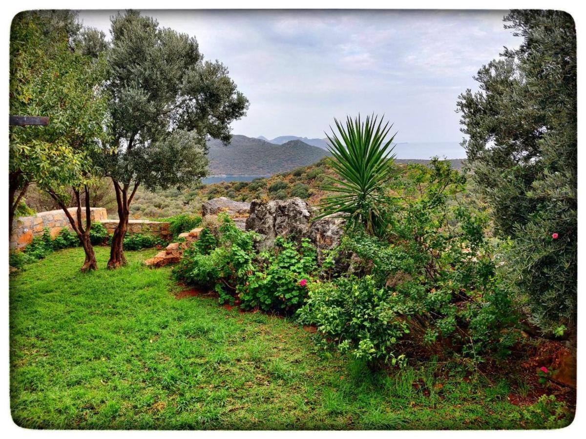 Olivia Homes Kaş Esterno foto