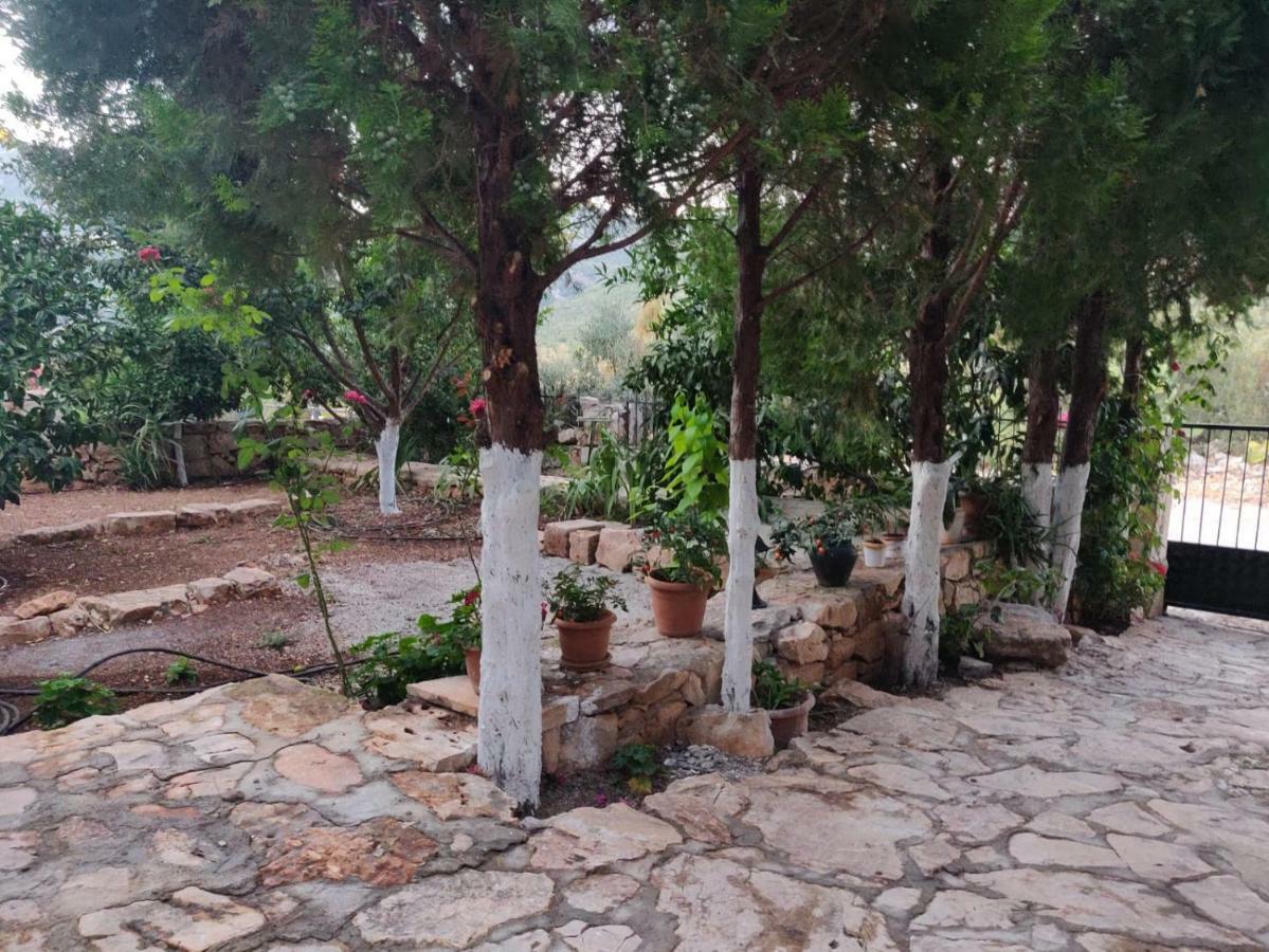 Olivia Homes Kaş Esterno foto