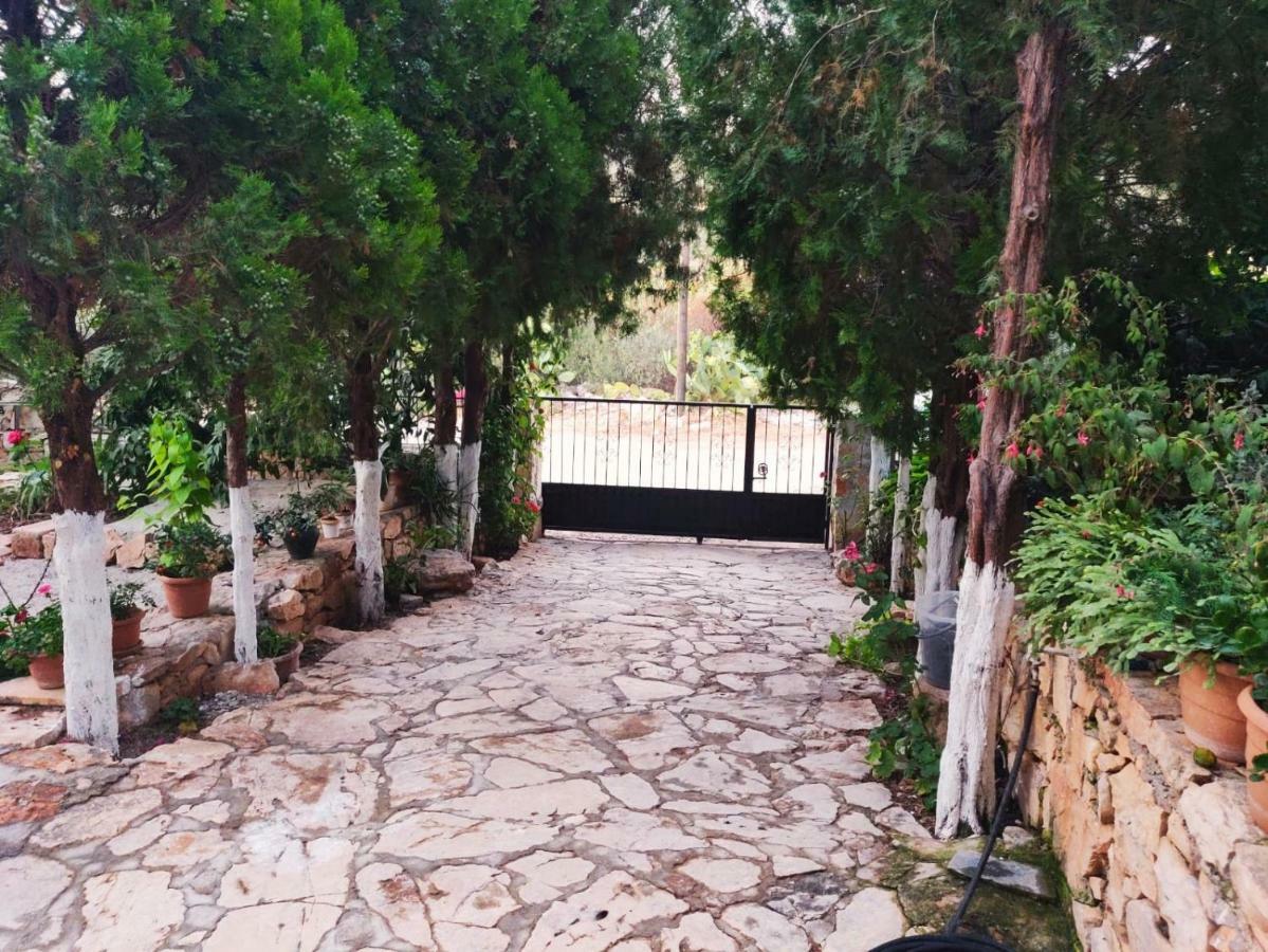 Olivia Homes Kaş Esterno foto