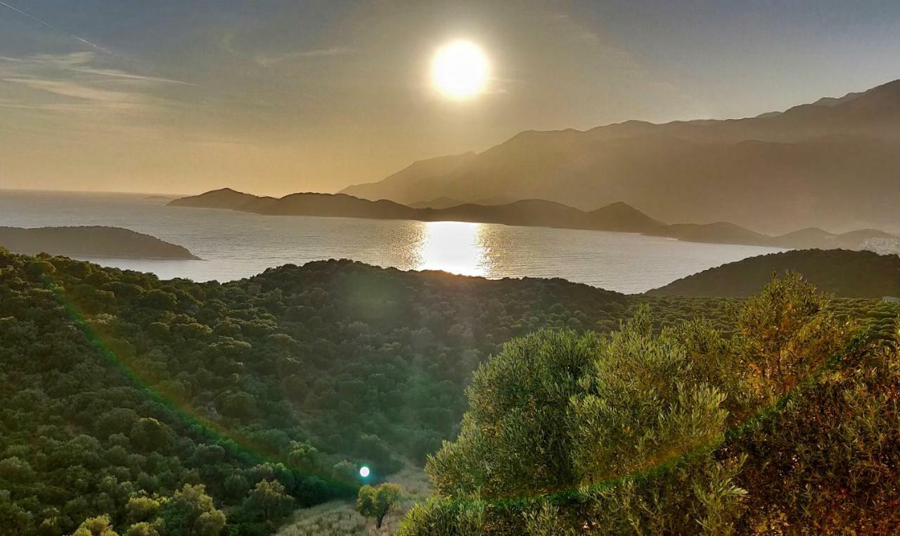 Olivia Homes Kaş Esterno foto